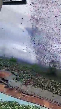 Un remolino se llevó hojas de coca que secaban al sol y sorprende a cocaleros en Perú