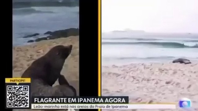 Mulher se recusa a dar entrevista a repórter, 'Não dou entrevista pra GloboNews nem pra Globo'