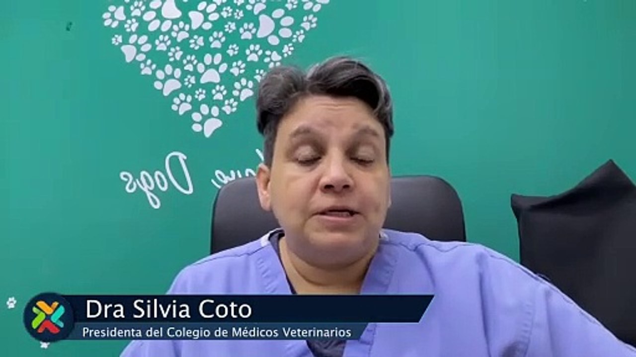 ext-presidenta del Colegio de Médicos Veterinarios-181224