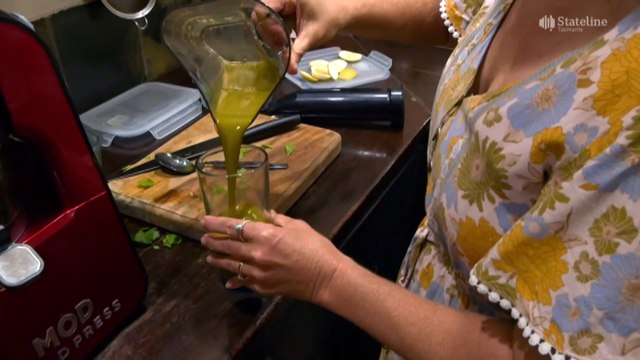 Medicines watchdog urges caution over use of herbal treatments