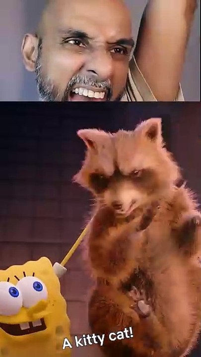 SpongeBob Found a Kitty Cat