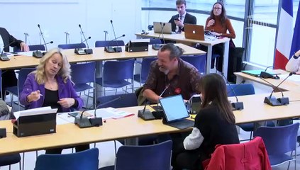 Commission des affaires européennes : Communication de M. André Chassaigne et Mme Nicole Le Peih sur l'état des lieux des plans stratégiques nationaux en matière agricole - Mercredi 18 décembre 2024
