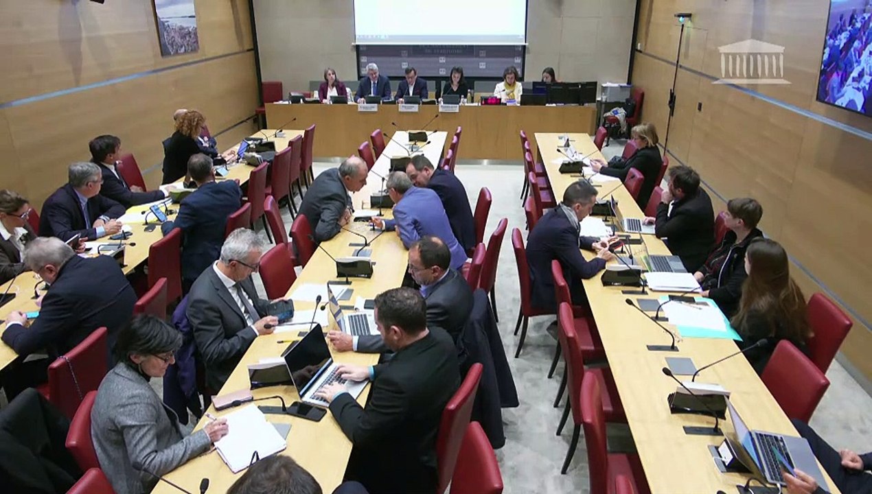 Commission du développement durable : Verdissement des flottes automobiles - Mercredi 18 décembre 2024