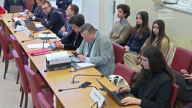 Commission des affaires étrangères : Ressources naturelles stratégiques et terres rares - Mercredi 18 décembre 2024