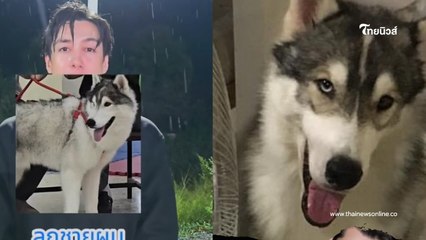 ดาราดังร้องทุกข์ ลูกชายพันธุ์ไซบีเรียนหาย ตำรวจบอกเสียเวลา 😢