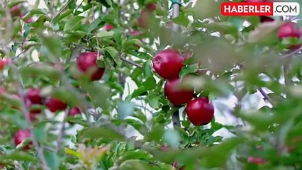 Türkiye'nin dev içecek markası Aroma neyi var neyi yok satıyor