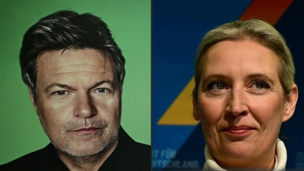 Habeck lehnt TV-Duell mit Weidel ab