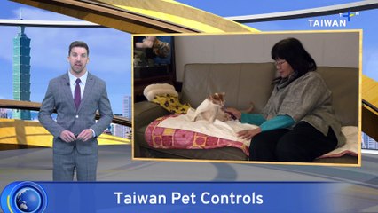 Cat Owners To Be Required To Register, Microchip Their Pets