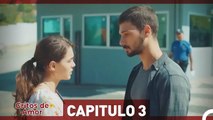 Gritos de Amor Capítulo 3 (Doblado en Español)