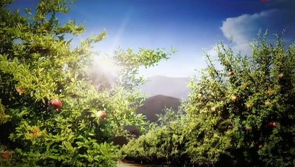 Vkus granata 04 seriya.