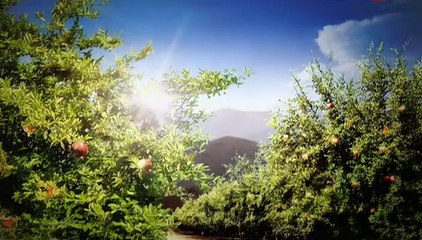 Vkus granata 07 seriya.