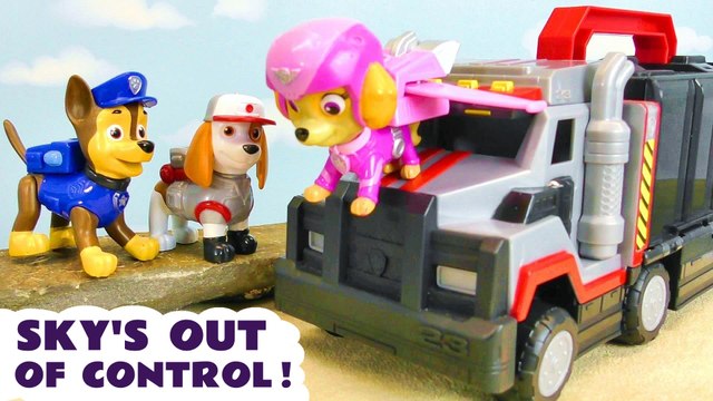 Paw Patrol Skye is out of Control - Why? Toy Story for Kids