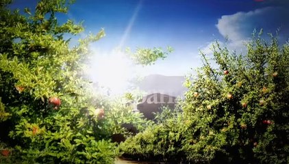 Vkus granata 09 seriya.