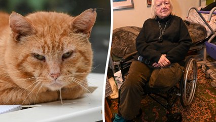 Woman had leg amputated after tiny cat scratch led to horror infection