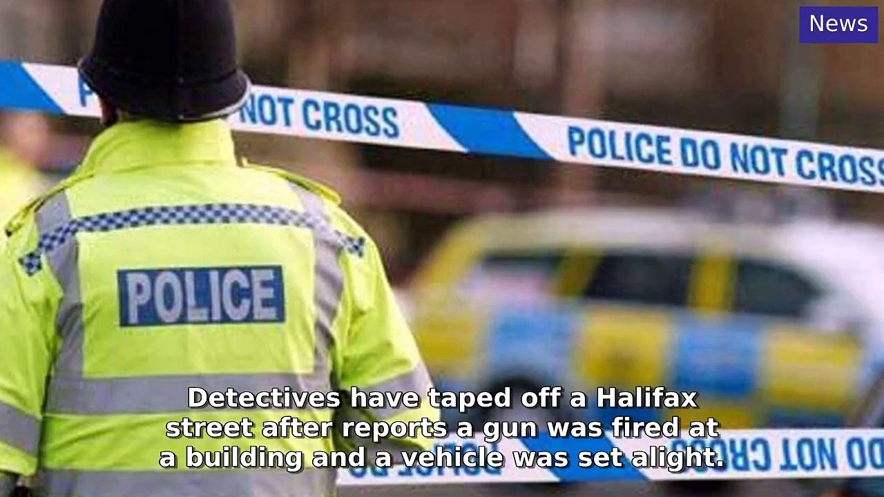Halifax Courier Morning Update 19 December, 2024