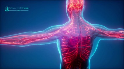 Osteoporosis Treatment By Exosome |