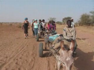 Chantier Nara : F�vrier 2008