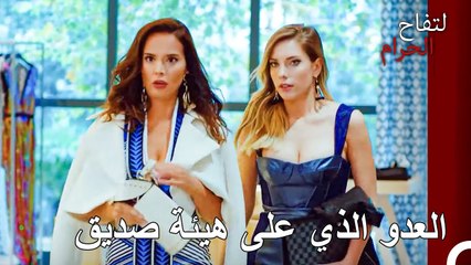 افكار دفنة التي ستنهي زواج يلدز - التفاح الحرام الحلقة ال 48