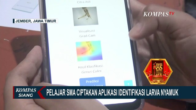 Keren! Siswa SMA di Jember Ciptakan Aplikasi Identifikasi Jenis Larva Nyamuk
