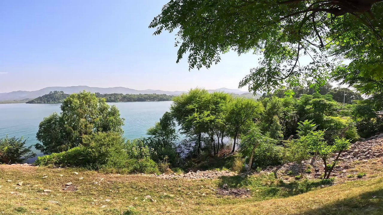 Peaceful View