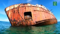 Una oportunidad para la vida marina en el cementerio de barcos de Panamá