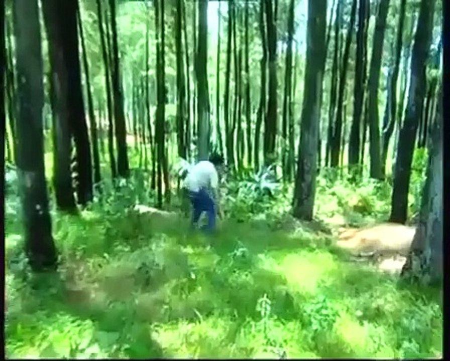 LEGENDA SANGKURIANG - FULL MOVIE - HD