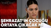 Şehrazat'ın Çocuğu Ortaya Çıkacak mı? - Binbir Gece 5. Bölüm