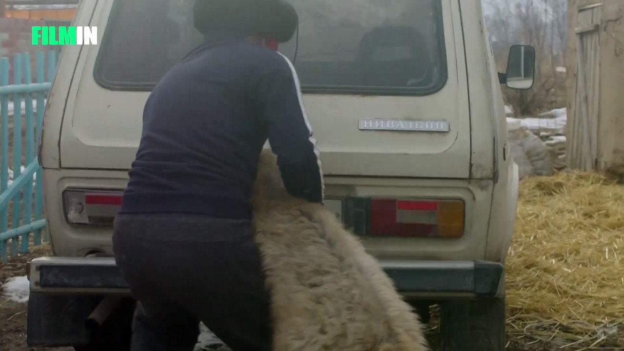 Territory Tráiler OV STSPA