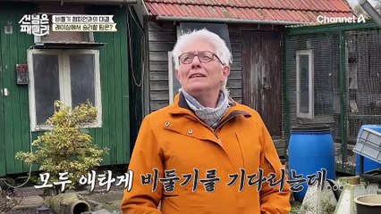 ♨비둘기 챔피언과의 대결♨ 여유롭게 비행을 즐기는 경주 비둘기들! 레이싱에서 승리할 팀은?