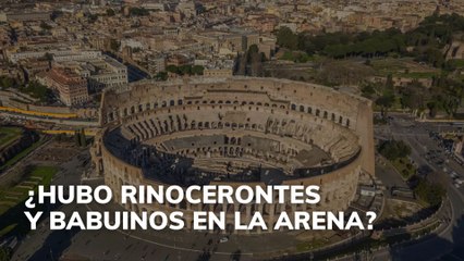 Rinocerontes y babuinos en la arena: ¿realidad o ficción?