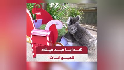 هدايا عيد ميلاد للحيوانات!