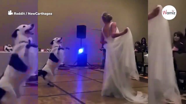 Novia engaña a novio en pleno baile de boda: ¡los invitados se quedan en shock! (Vídeo)