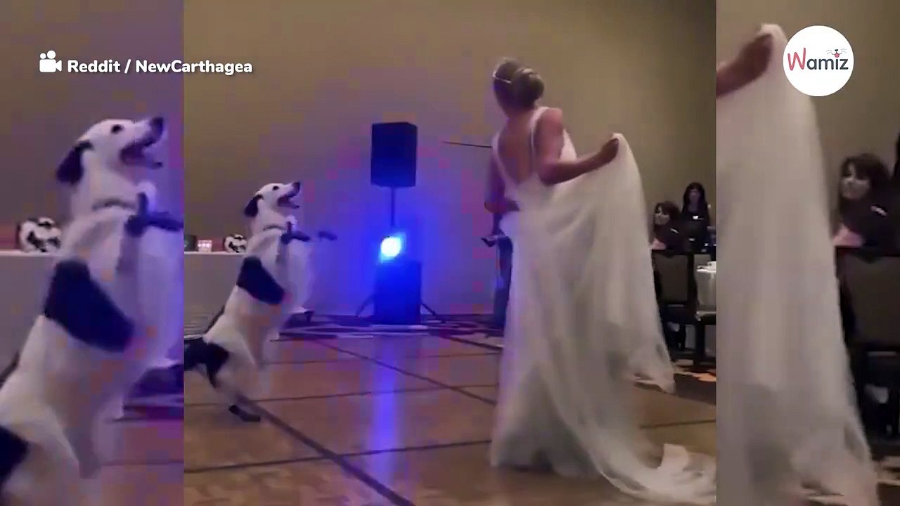 Novia engaña a novio en pleno baile de boda: ¡los invitados se quedan en shock! (Vídeo)