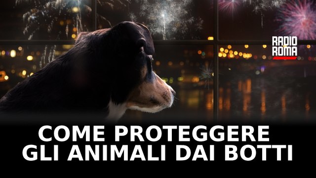 Come proteggere gli animali dai botti