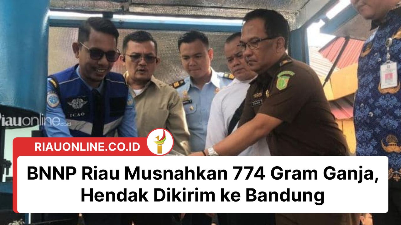 Bnnp Riau Musnahkan Gram Ganja Hendak Dikirim Ke Bandung Video Dailymotion