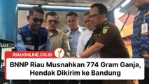 BNNP Riau Musnahkan 774 Gram Ganja, Hendak Dikirim ke Bandung