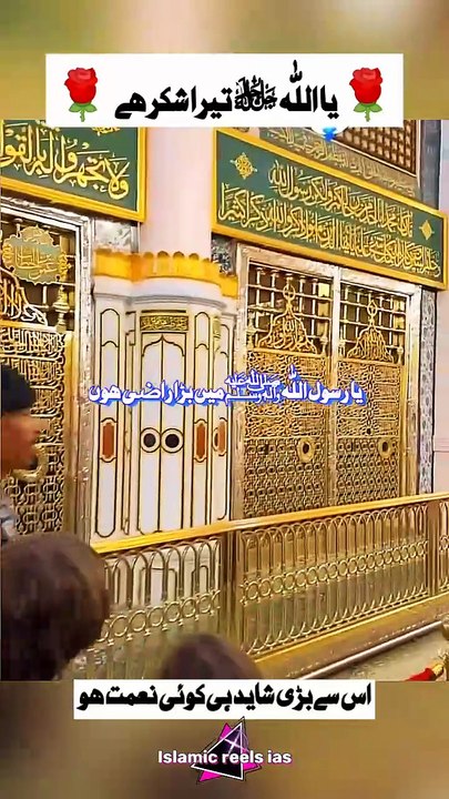 🌹 یااللّٰه تیرا شکر ہے 🌹       #islam #islamicreels_ias #madina #makkah  #viral #virareels #trendingreels #trendingvideos #instgaram #instagramreels #facebook #facebookreels #fypシ #fyp #instalike #like #share #follow #thursday #19december2024 #shortvide