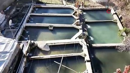 Dört bir yana gönderiliyor! Denizi olmayan şehirde tonlarca balık yetiştiriliyor