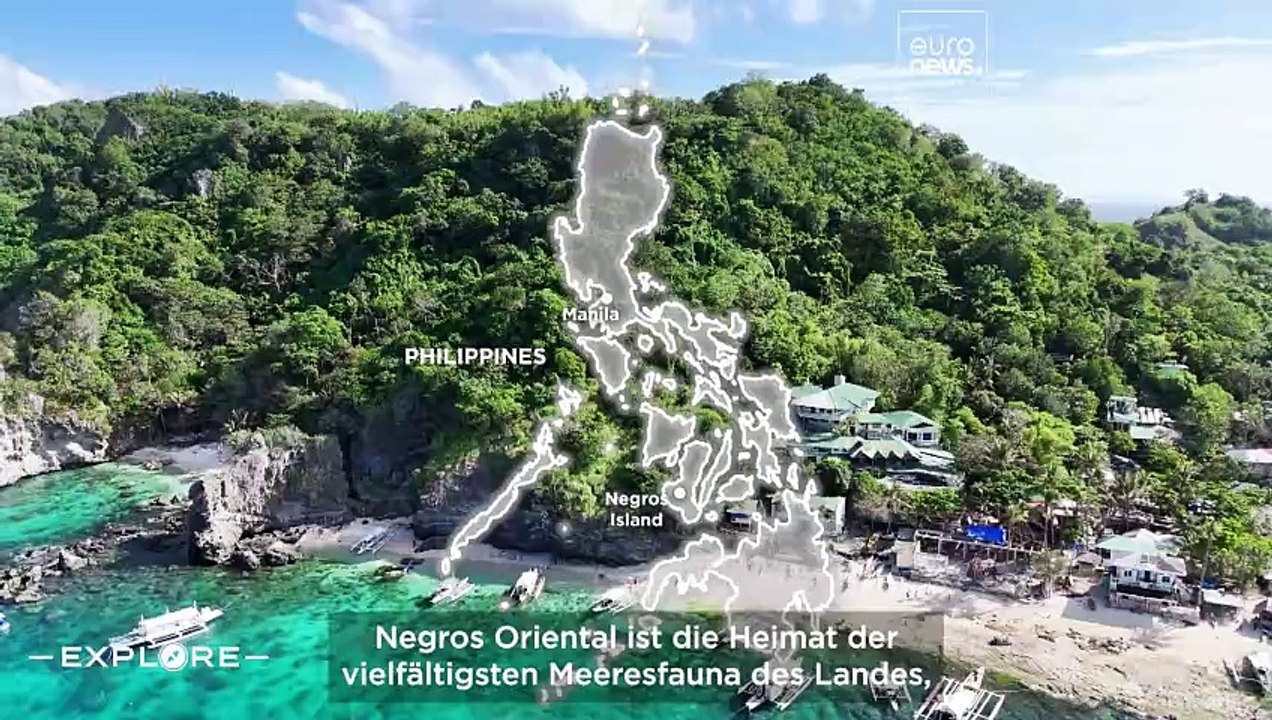 Insel Negros: Zuckerrohrtradition und Meereswunder der Philippinen