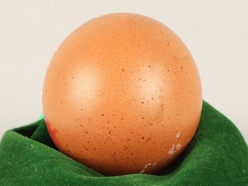 Fast perfekt rundes Ei für 200 Pfund versteigert