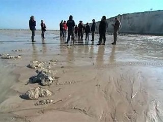 Visite du littoral à Criel-sur-Mer