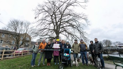 Local residents camp through the night to save 180-year-old tree from being felled