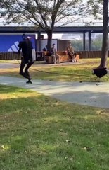 Robot köpeğini yürüyüşe çıkaran robotu görenler şaşkına döndü!