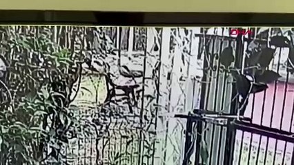 79 yaşındaki adamı yumrukla öldürdü!