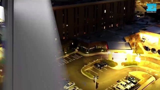 Estrenos: Dramas, leones y terror llegan al cine