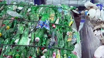 Confira como foi 1º dia da Expocatadores 2024 em SP