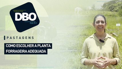 Pastagens: como escolher a planta forrageira adequada