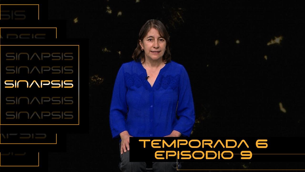 Sinapsis T6 Ep.09 | Estilo de vida saludable