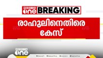 പാർലമെന്റ് വളപ്പിലെ സംഘർഷം; രാഹുൽ ഗാന്ധിക്കെതിരെ കേസ് | Rahul Gandhi case