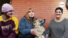 Mensaje de Navidad de Wamiz 2024: "Recuerda, un perro es una vida, no un regalo cualquiera" (Vídeo)